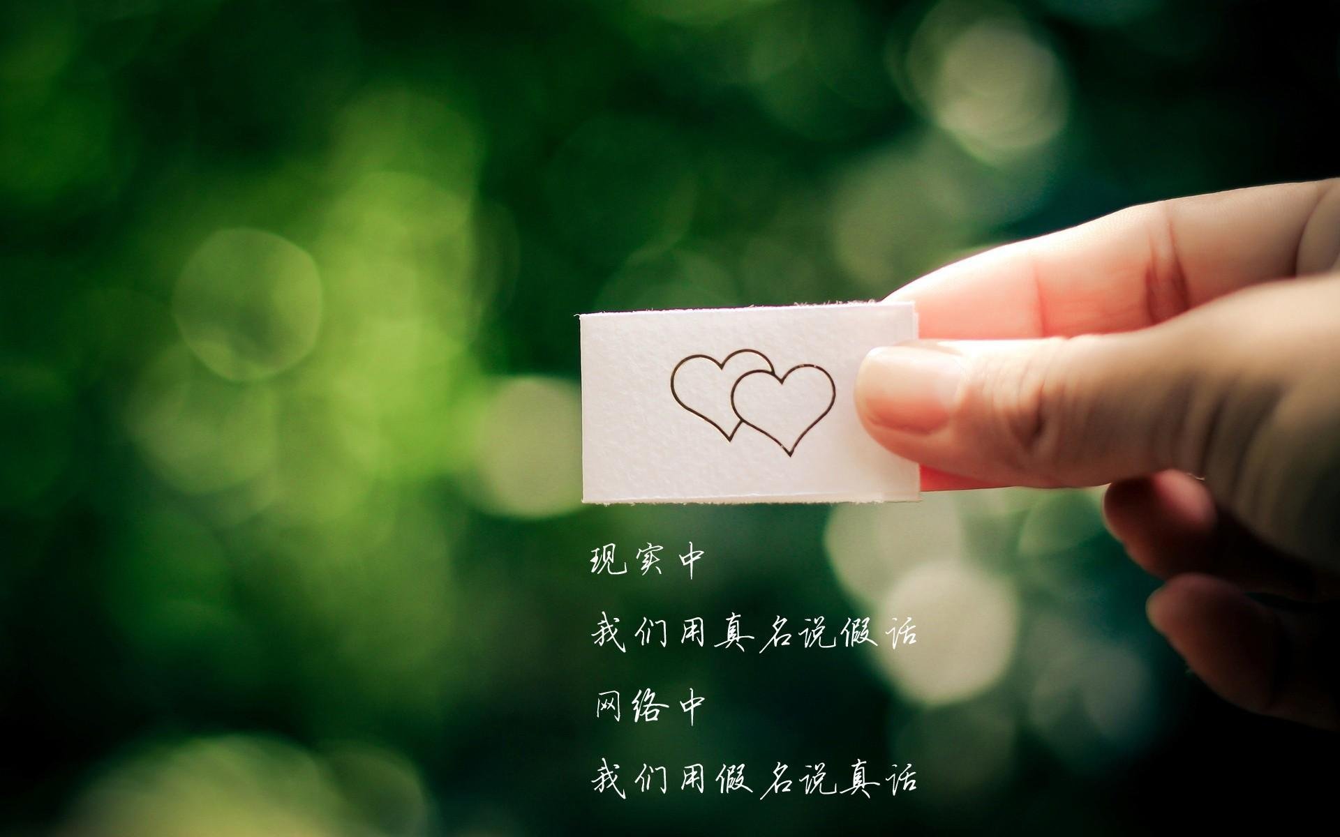 挖掘机英语视频播放下载安装（挖掘机英语视频播放下载安装软件）