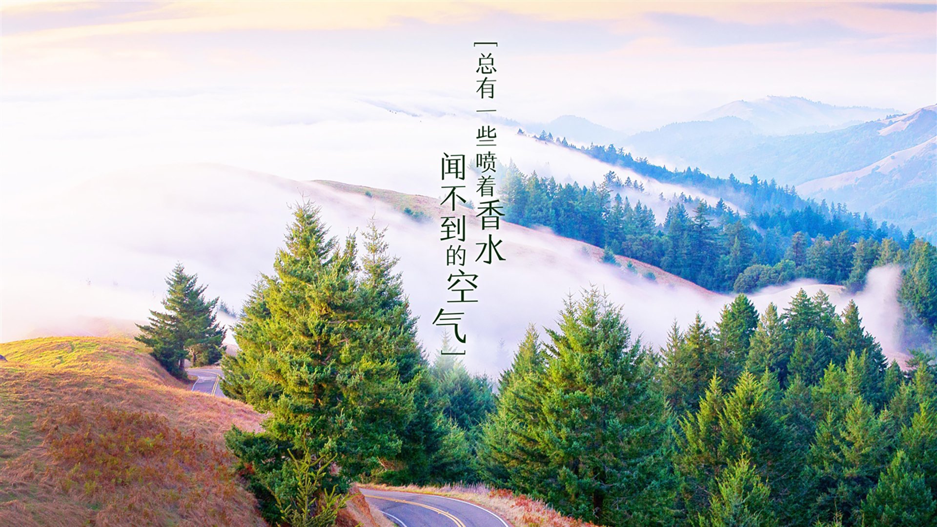 国产小型挖掘机哪个牌子质量过硬（中国最好的小挖机品牌是什么）