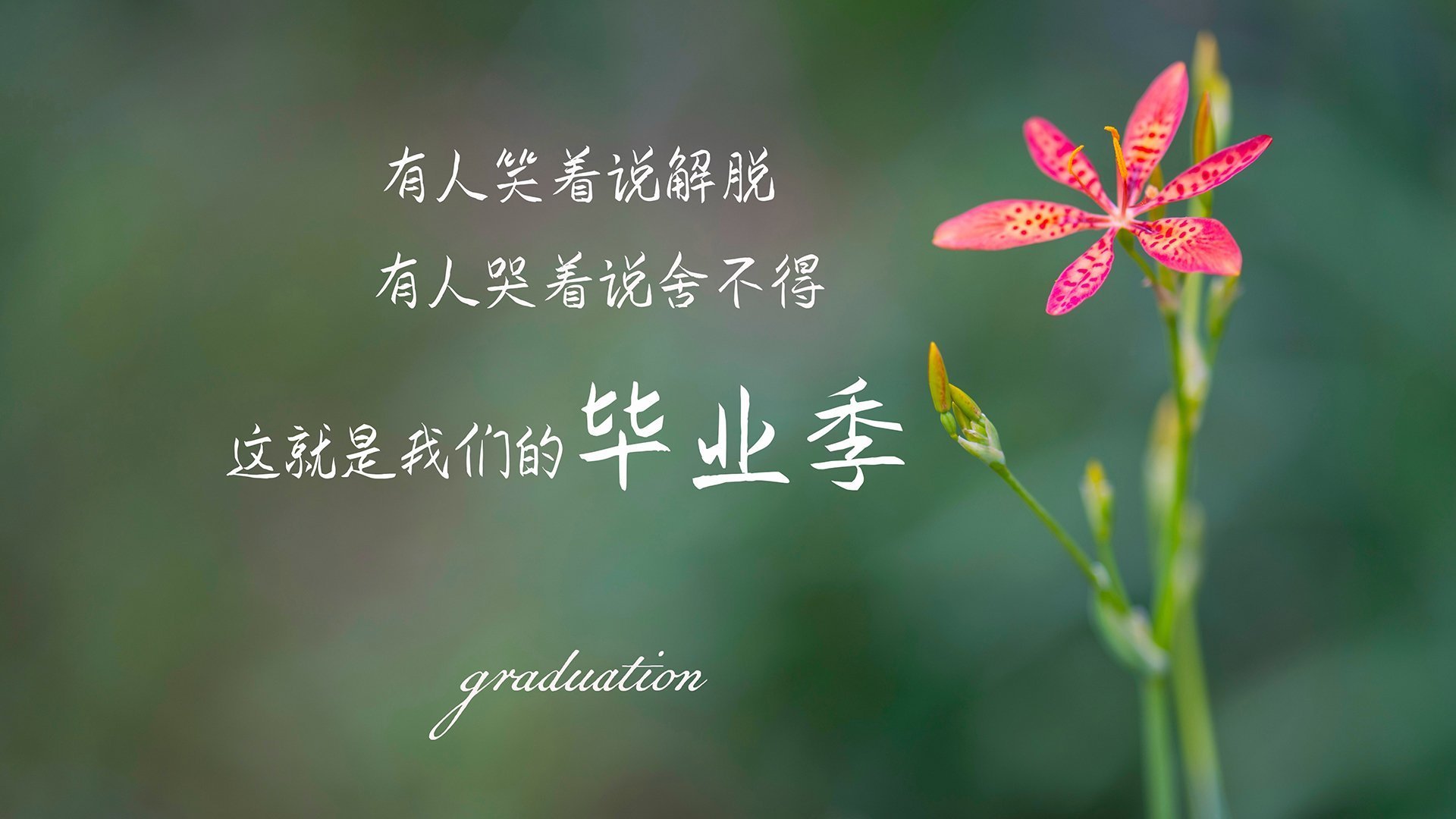 遂宁市挖掘机培训学校有哪些（遂宁挖机租赁公司电话）